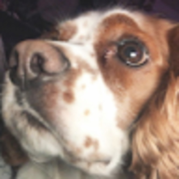 Meet your Posher, Cristina - Picture 1 of 1